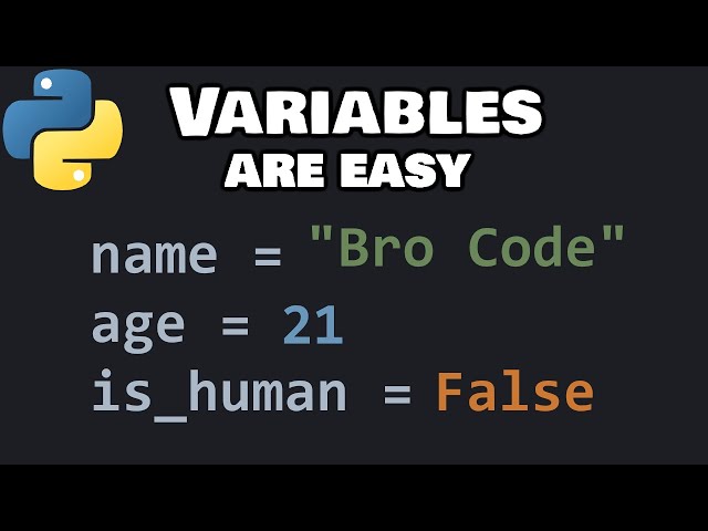 Python variables and data types you should know as a beginner ❎
