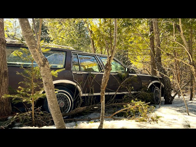 1981 Pontiac Bonneville Safari found abandoned on an Island… Will it run after 20 Years?