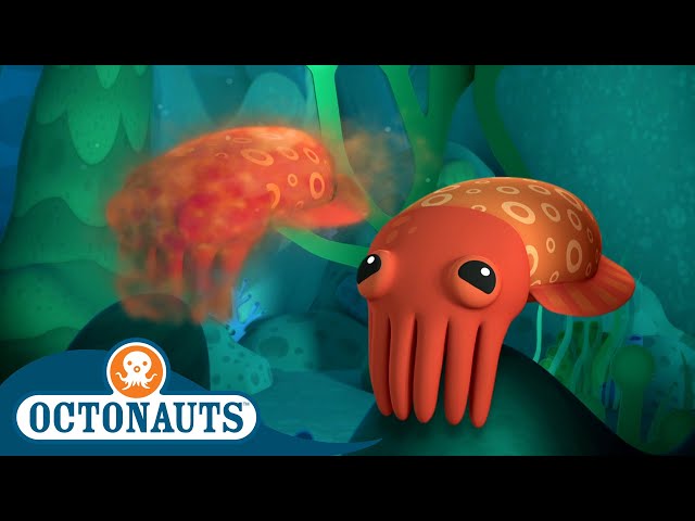 ​@Octonauts - The Crafty Crafty Cuttlefish | Full Episode 48 | Cartoons for Kids