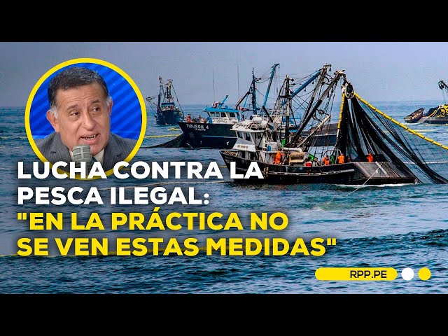 Día Internacional de la Lucha contra la Pesca Ilegal: ¿Cuál es la situación en el mar peruano?