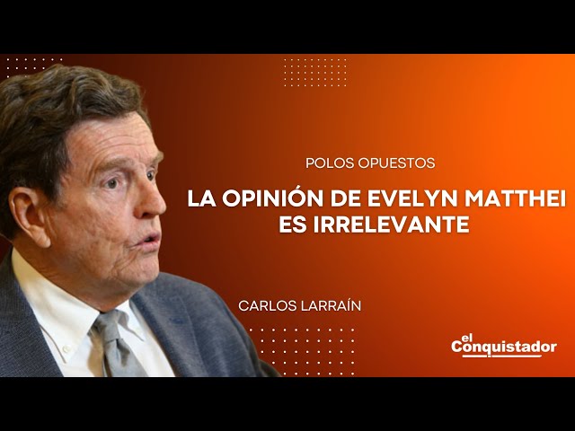 "La opinión de Evelyn Matthei es IRRELEVANTE", Carlos Larraín | Polos Opuestos