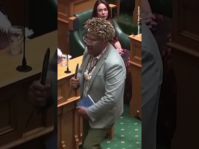 Māori Politician Performs Haka in Parliament Before Swearing Oath to King Charles #shorts #nz #haka