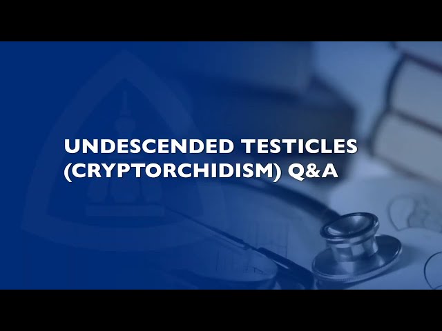Undescended Testicles (Cryptorchidism) Q&A with Dr. Ming-Hsien Wang