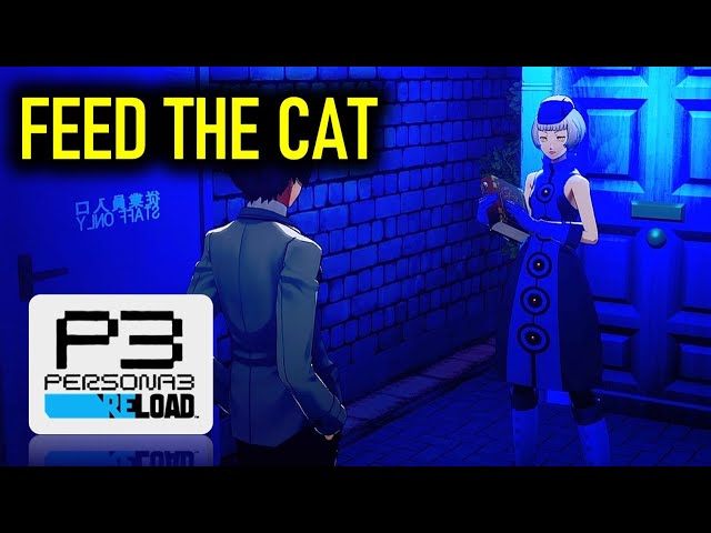 Please Feed the Cat (Elizabeth's Request 42) | Persona 3 Reload