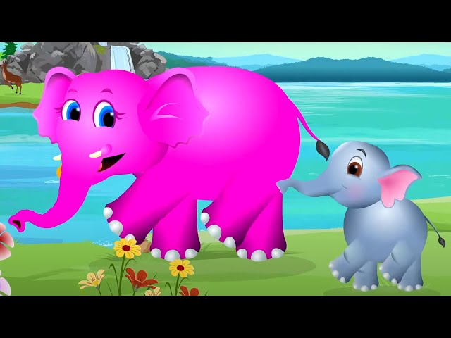 Baby Elephants Song & Animal Music for Children