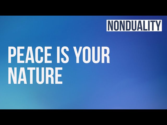 Dr Daniel H Shapiro - Peace is Your Nature | Nonduality