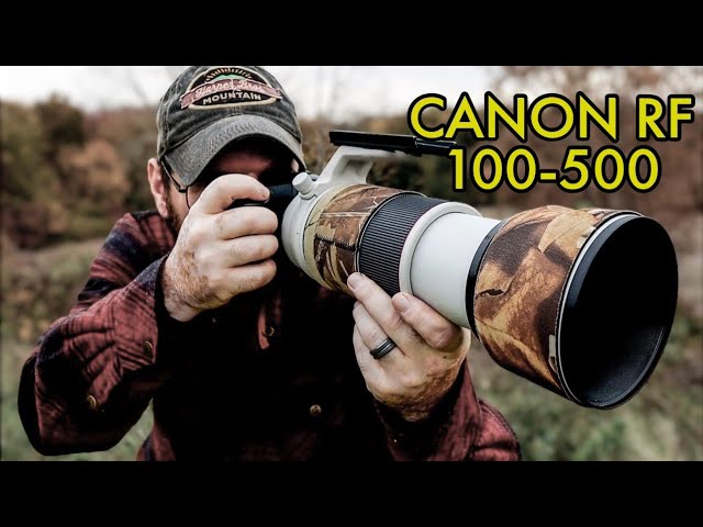 CANON RF 100-500 f4.5-7.1 ONE YEAR LATER w/PHOTOS (WAS IT WORTH IT?)