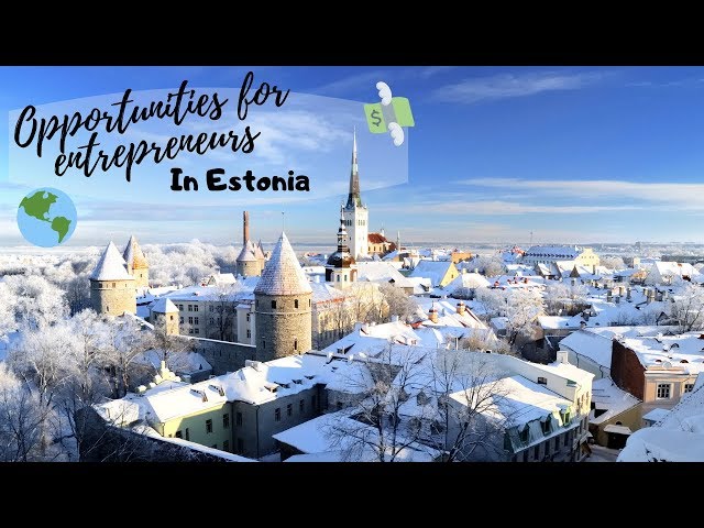 Opportunities for entrepreneurs in Estonia