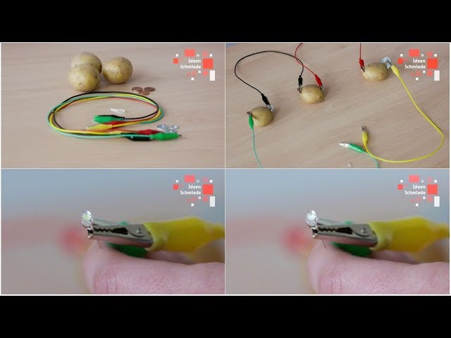 Strom aus der Kartoffelbatterie gewinnen