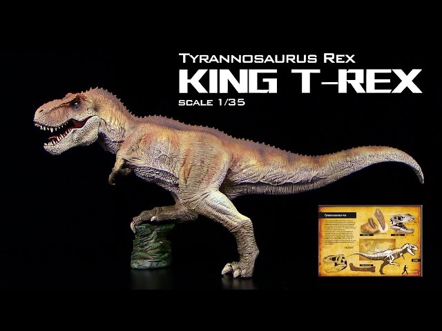 Rebor ™ - King T-Rex / Tyrannosaurus Rex - Unboxing / Re-Upload