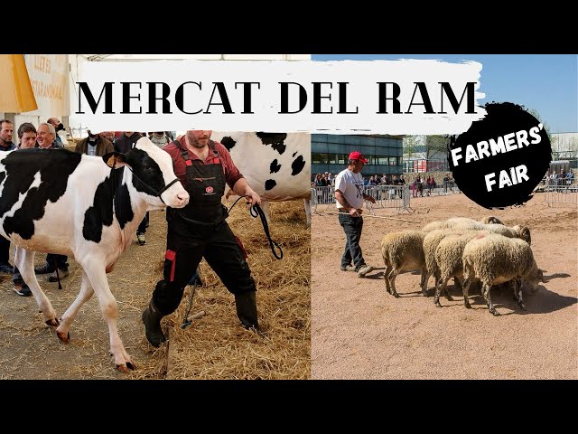 Rambling Through Mercat del Ram: Walking Tour of Vic's Farmers' Fair 🌾 | Barcelona, Spain 🇪🇸 2024