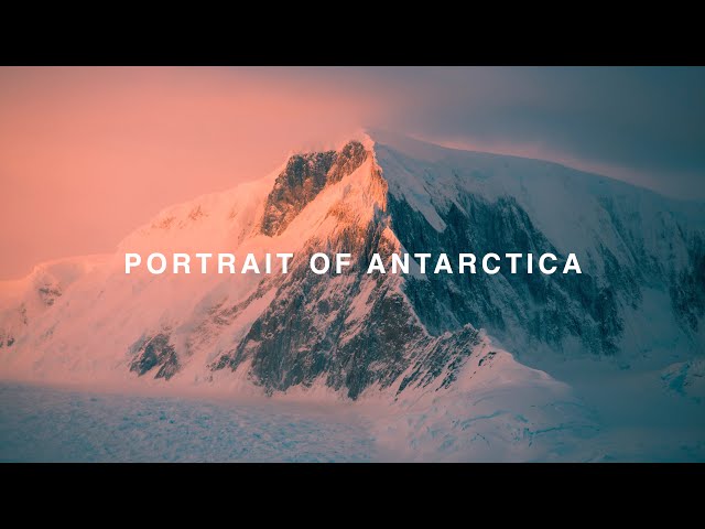 Portrait of Antarctica | Shot on the BMPCC 6K