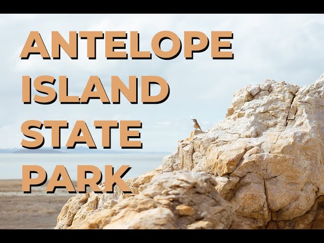 Antelope Island State Park | Syracuse, Utah | March 2024