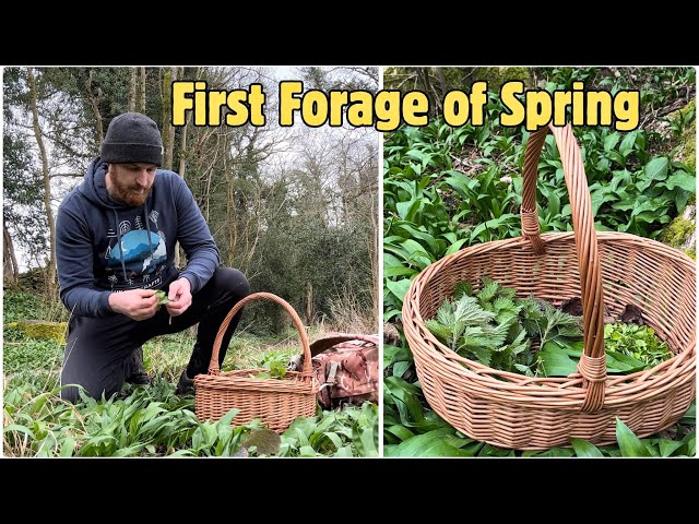 First Forage of Spring 🌱