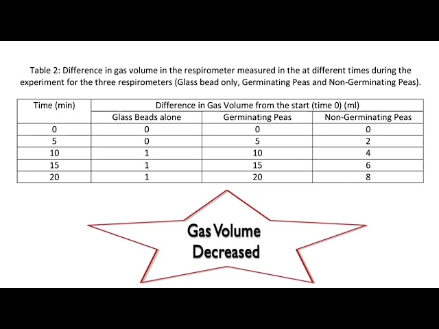 C1.2.6 Part 2 - Analyzing Data: Rate of Respiration