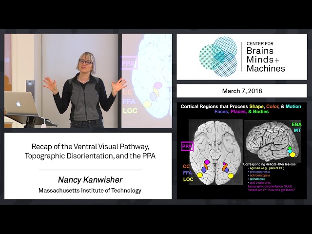 6.1 - Recap of the Ventral Visual Pathway, Topographic Disorientation, and the PPA
