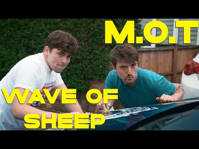 Wave of Sheep - M.O.T