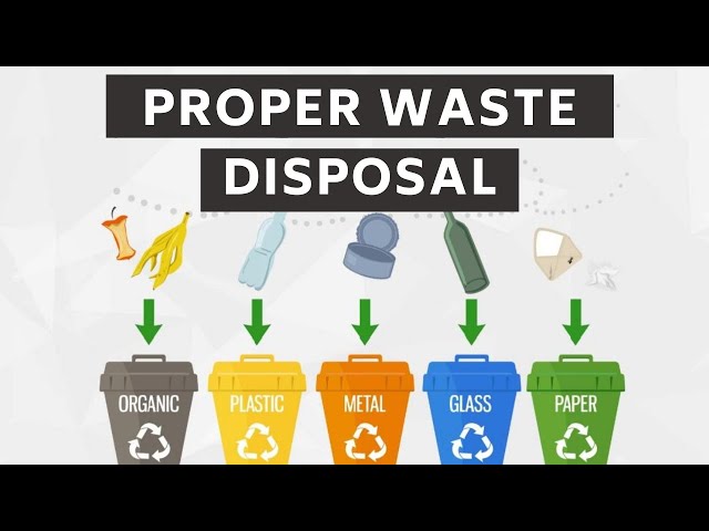 Proper Waste Disposal According to the Properties of Each Material