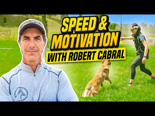 Boost Your Dog's Speed and Motivation with Robert Cabral