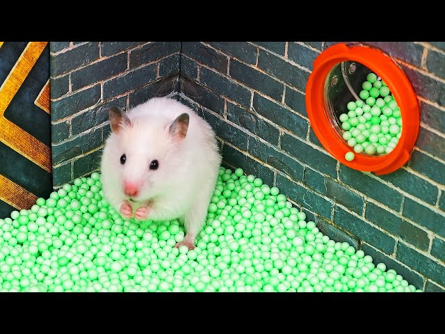 Hamster Underground Maze