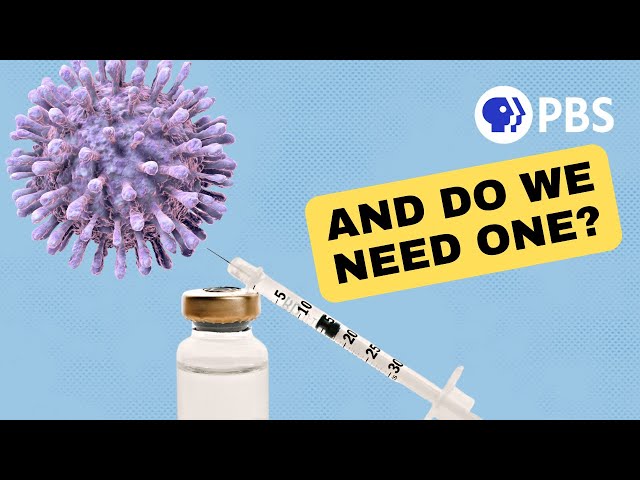Why Don't We Have an HIV Vaccine?