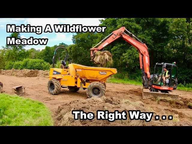 How To Make A Wildflower Meadow From Scratch - Timelapse & Revisiting 2 Years Later