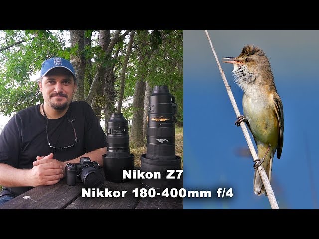 Nikon Z7 ve Süper Tele Objektifler Nikon 180-400mm f/4 - Nikon 200-500mm f/5.6