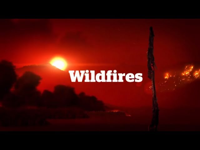 B.C. Wildfires: CBC Vancouver News special coverage (July 10, 2017)