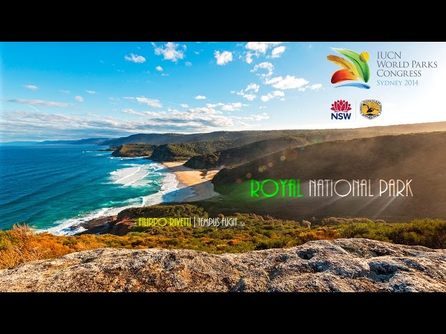 Royal National Park: The First Park in 4K