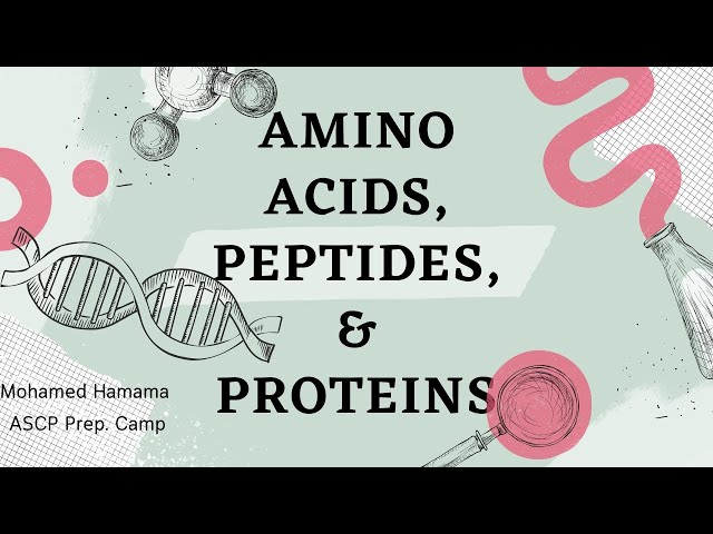 ASCP | MLS | MLT | Chemistry | Amino Acids, Peptides, & Proteins