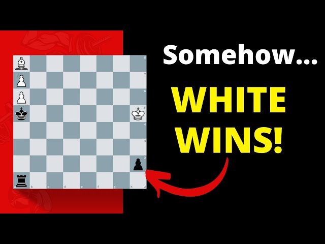 5 Chess Problems I Promise Will Blow Your Mind 🤯