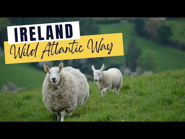 11 Things to do in Ireland's Wild Atlantic Way that no one is sharing