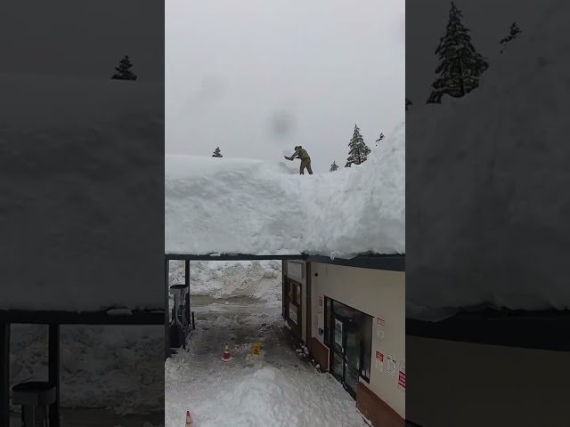 Widespread Roof Collapses Coming around Lake Tahoe!? #shorts