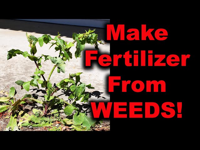 How To Make Your Own Fertilizer...From Weeds