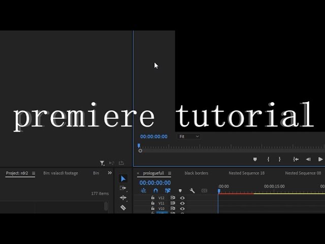 basic premiere tutorial