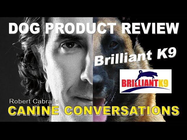 Brilliant K9 Vest - Dog Product Review - Dog Training and Products