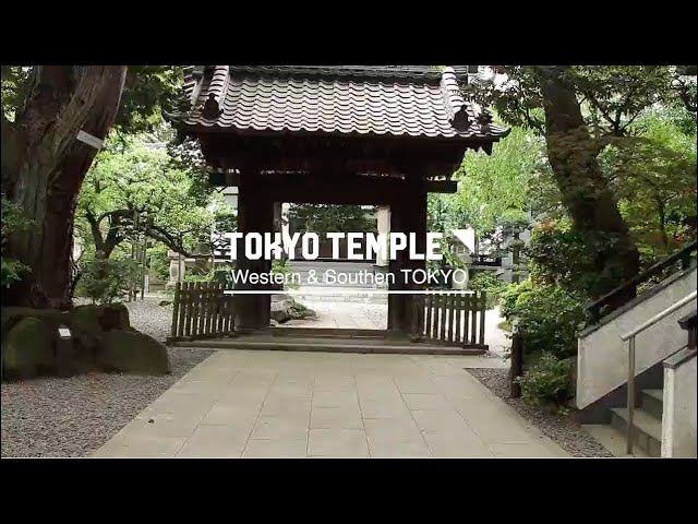 TOKYO TEMPLE #2　Wenstern&Southern TOKYO