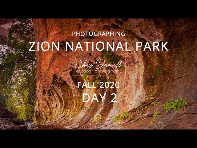 Photographing Zion National Park - Fall 2020 (Day 2)