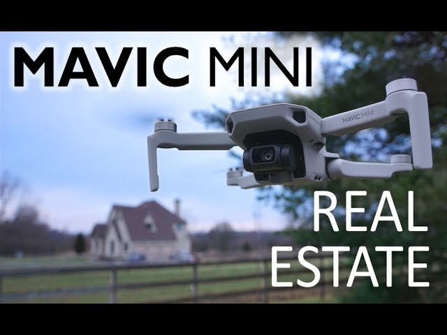 Can the Mavic Mini be Used Professionally for Real Estate Photography?