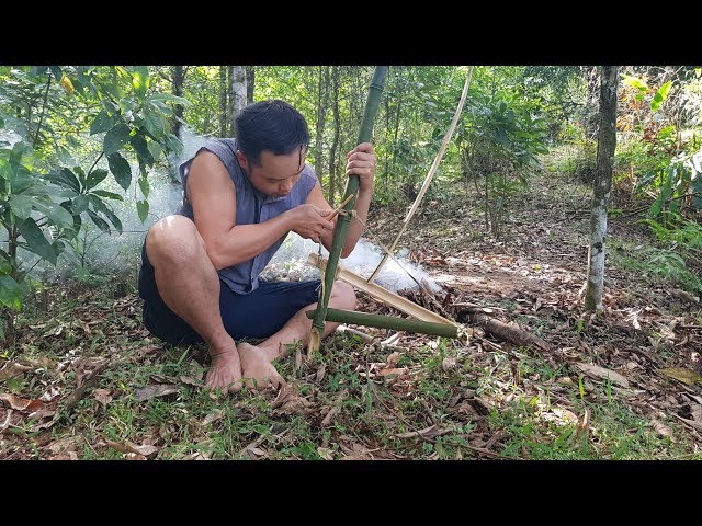 Primitive Skills; Trapping and Hunting, live videos in forest | Live#1