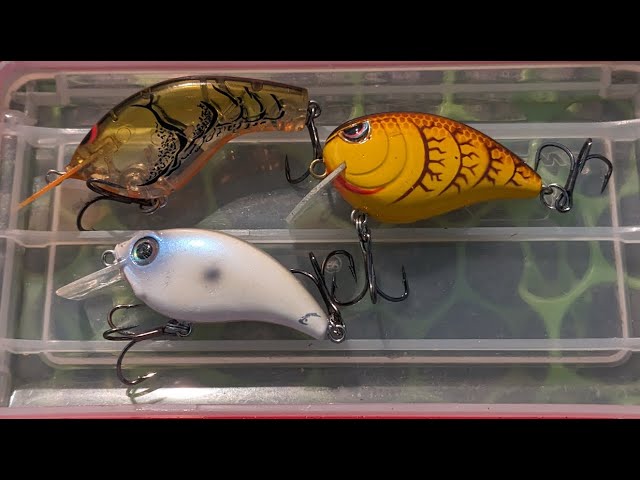 East Wind? No problem! | BFS Produces Lots of Bass!!