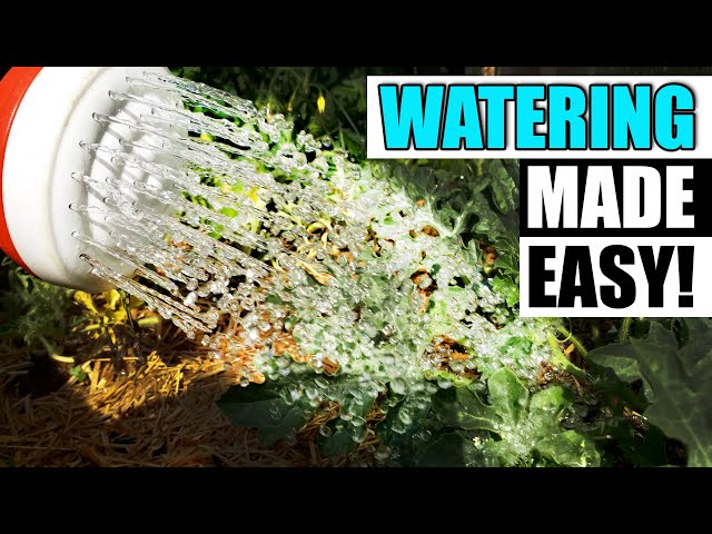 3 Easy Watering Tips - Garden Quickie Episode 159