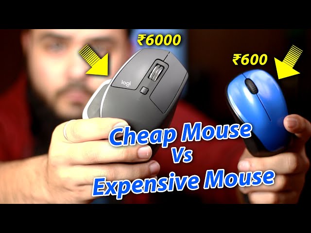 ₹600 Mouse Vs ₹6000 Mouse | Cheap Vs Expensive Mouse | Does Budget Mouse Worth Your Money ? 🖱🔥