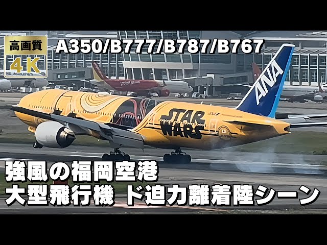 強風の福岡空港 大型飛行機のド迫力離着陸シーンをドーンとお見せします！