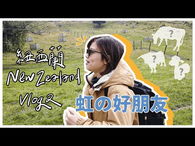 【紐西蘭Vlog】小虹與草泥馬的親密接觸！ 皇后鎮超Q療癒系動物