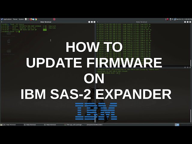 How to update firmware of IBM SAS expander 46M0997 in a non-IBM system