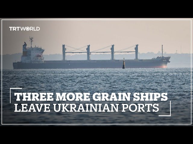 Three ships leave Ukraine with 58,000 tonnes of corn