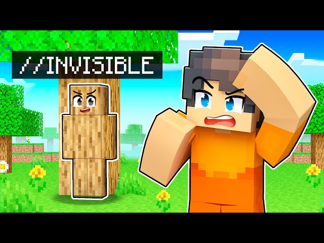 I Cheated Using //INVISIBLE in Hide and Seek Minecraft