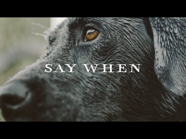 Sitka Films: Say When