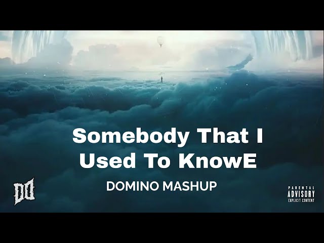 GOTYE-somebody That I Used To Know (DOMIO Mashup)🔥✨